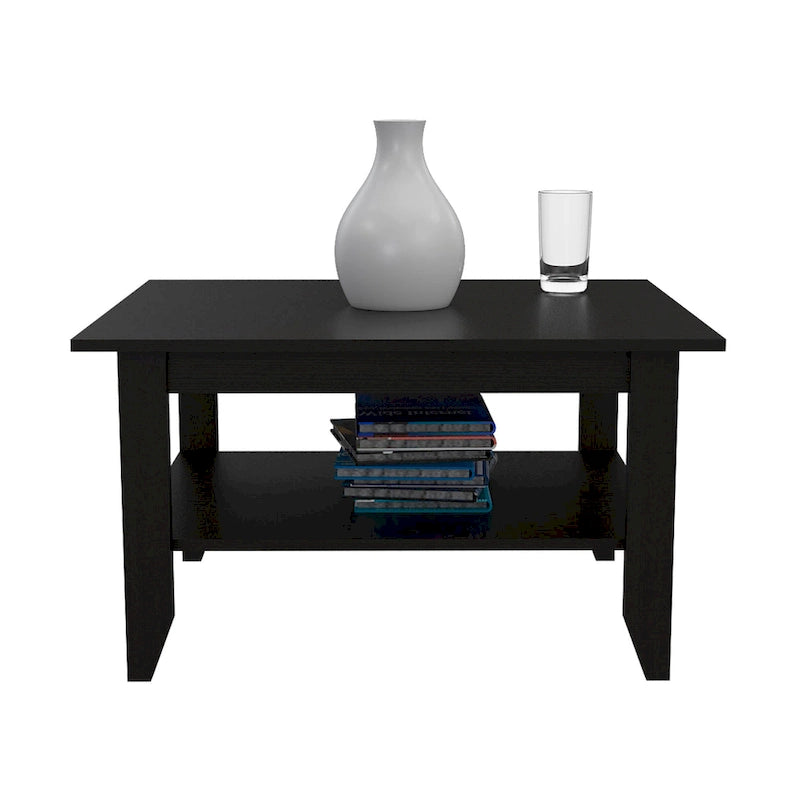 Table basse moderne avec étagère ouverte
